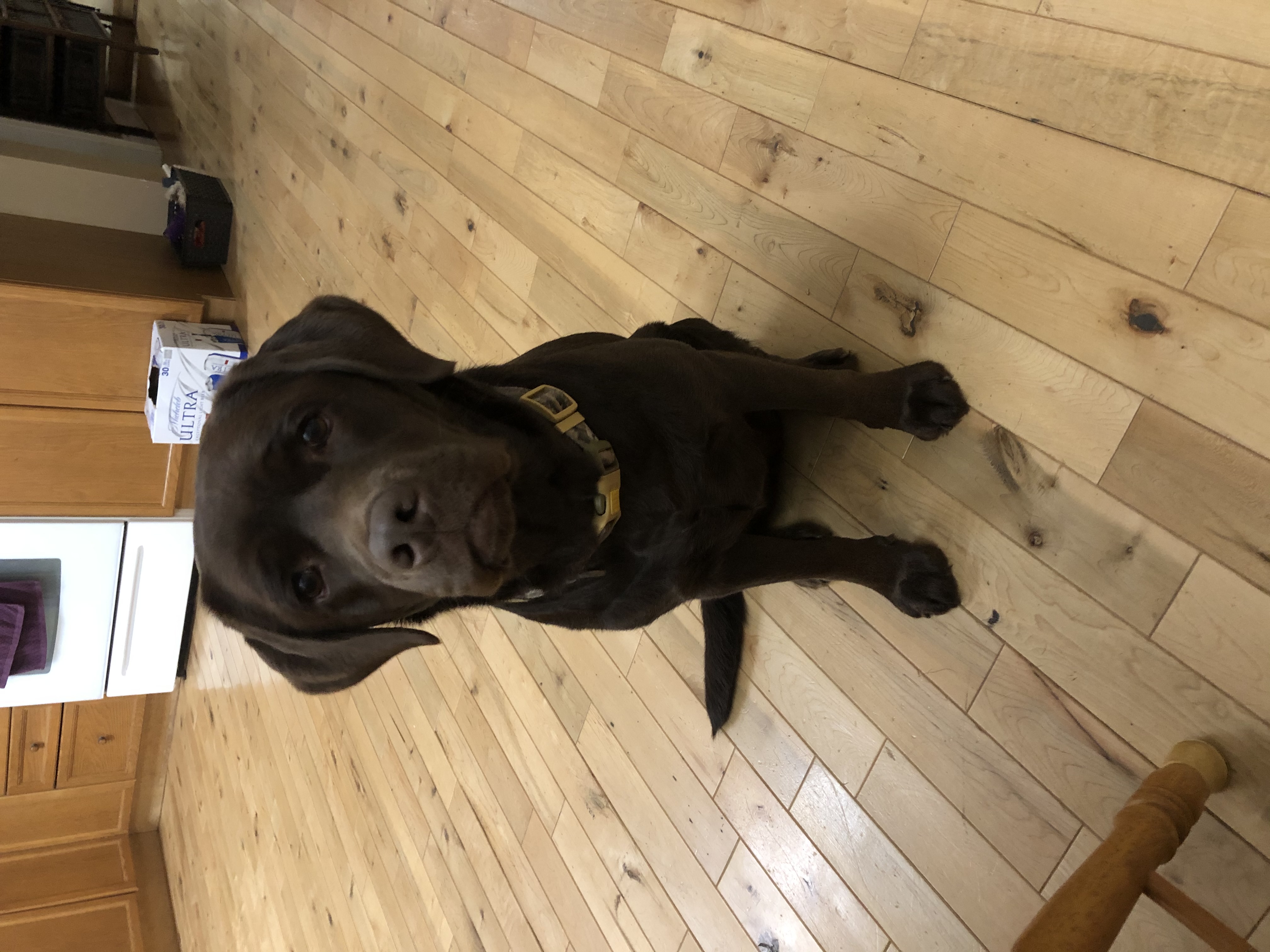 FDC7C672-00F2-46A2-846A-A7B7B8679FC7