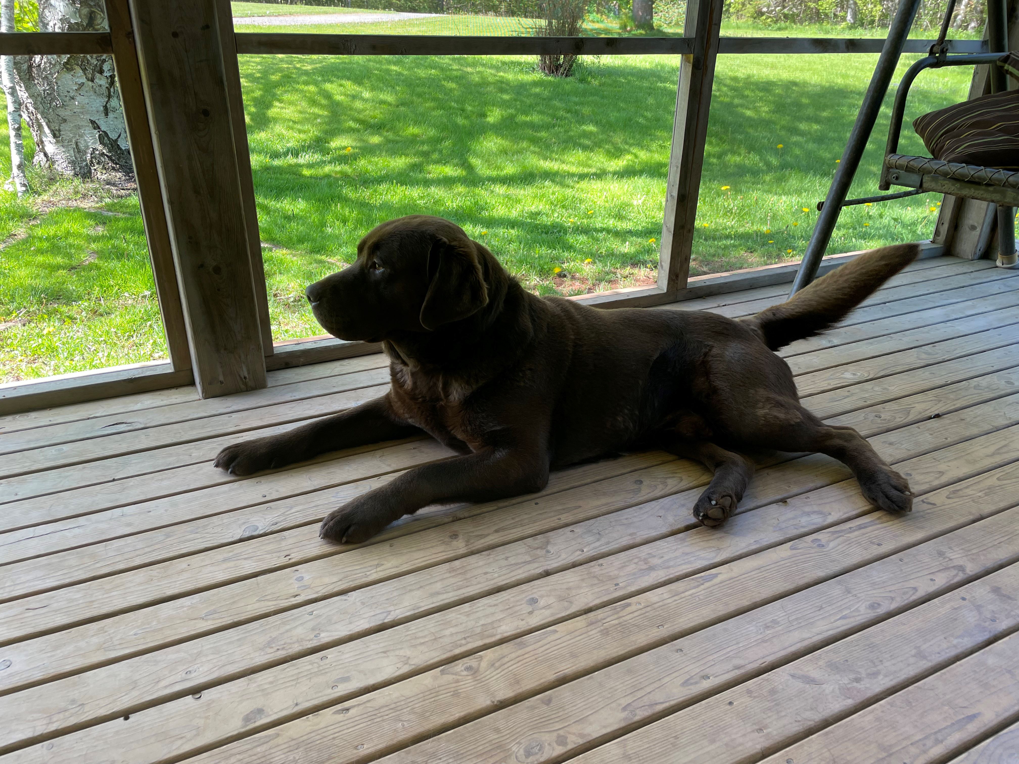 image_50414849-resize