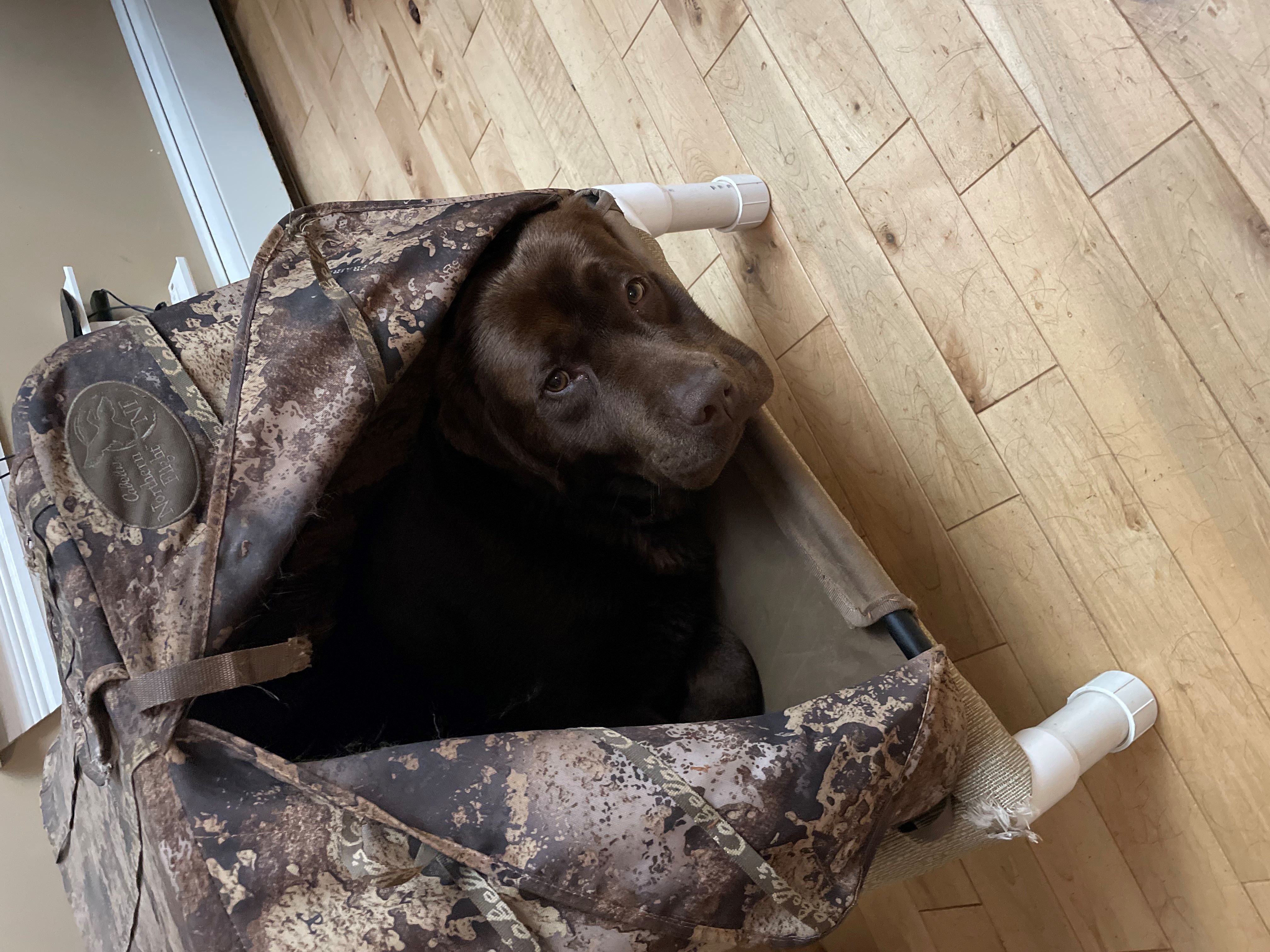 image_67184641-resize