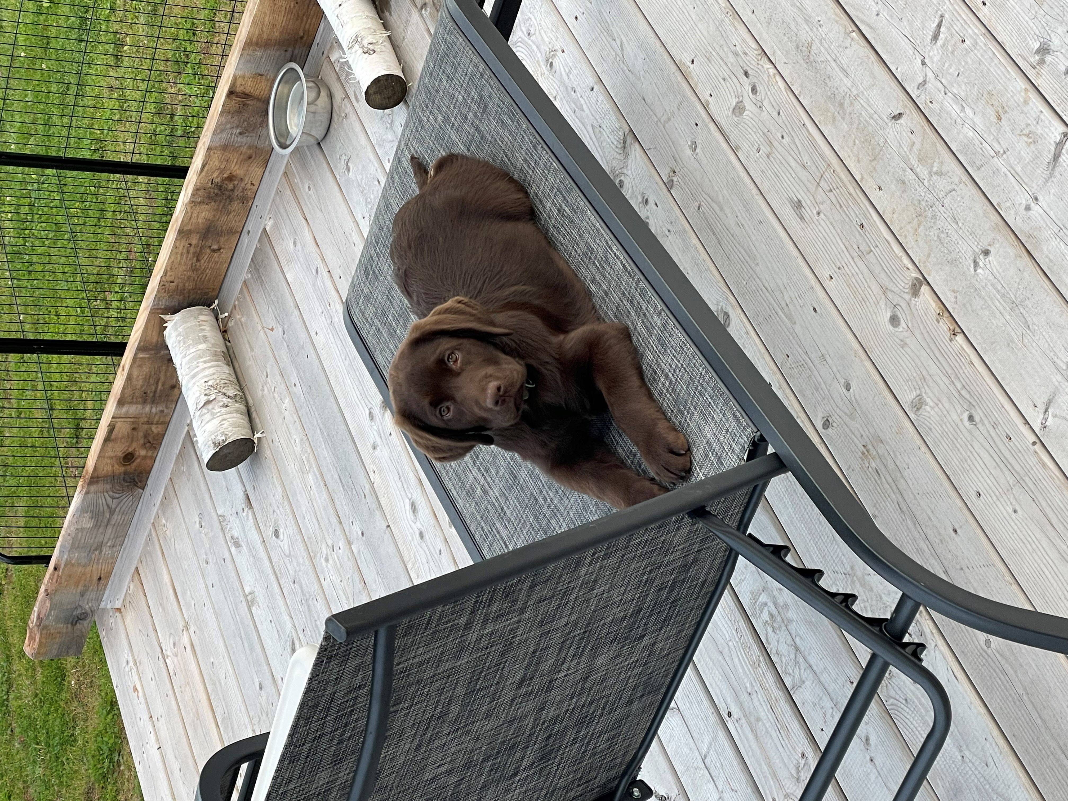 image_67208193-resize