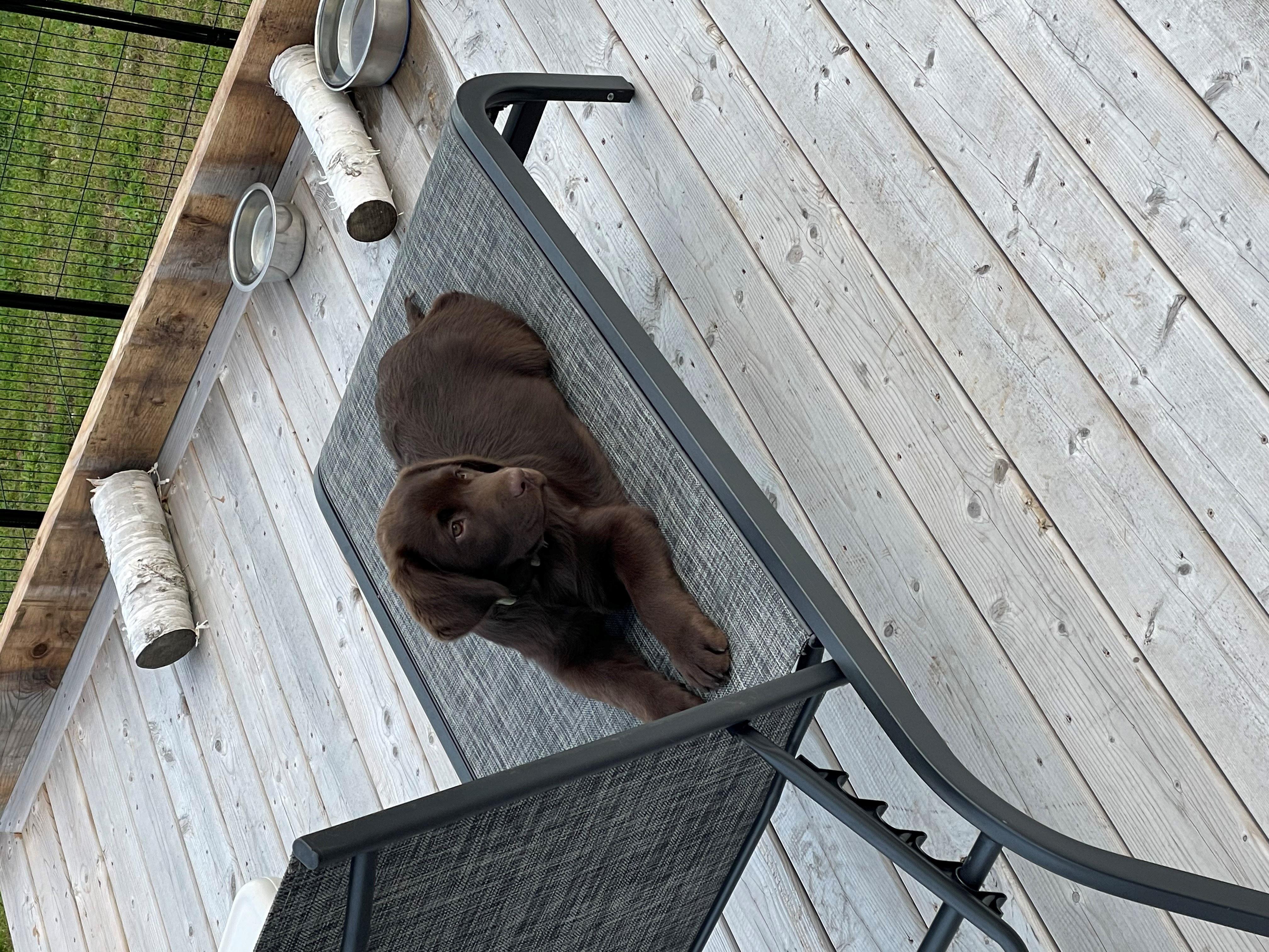 image_67210497-resized