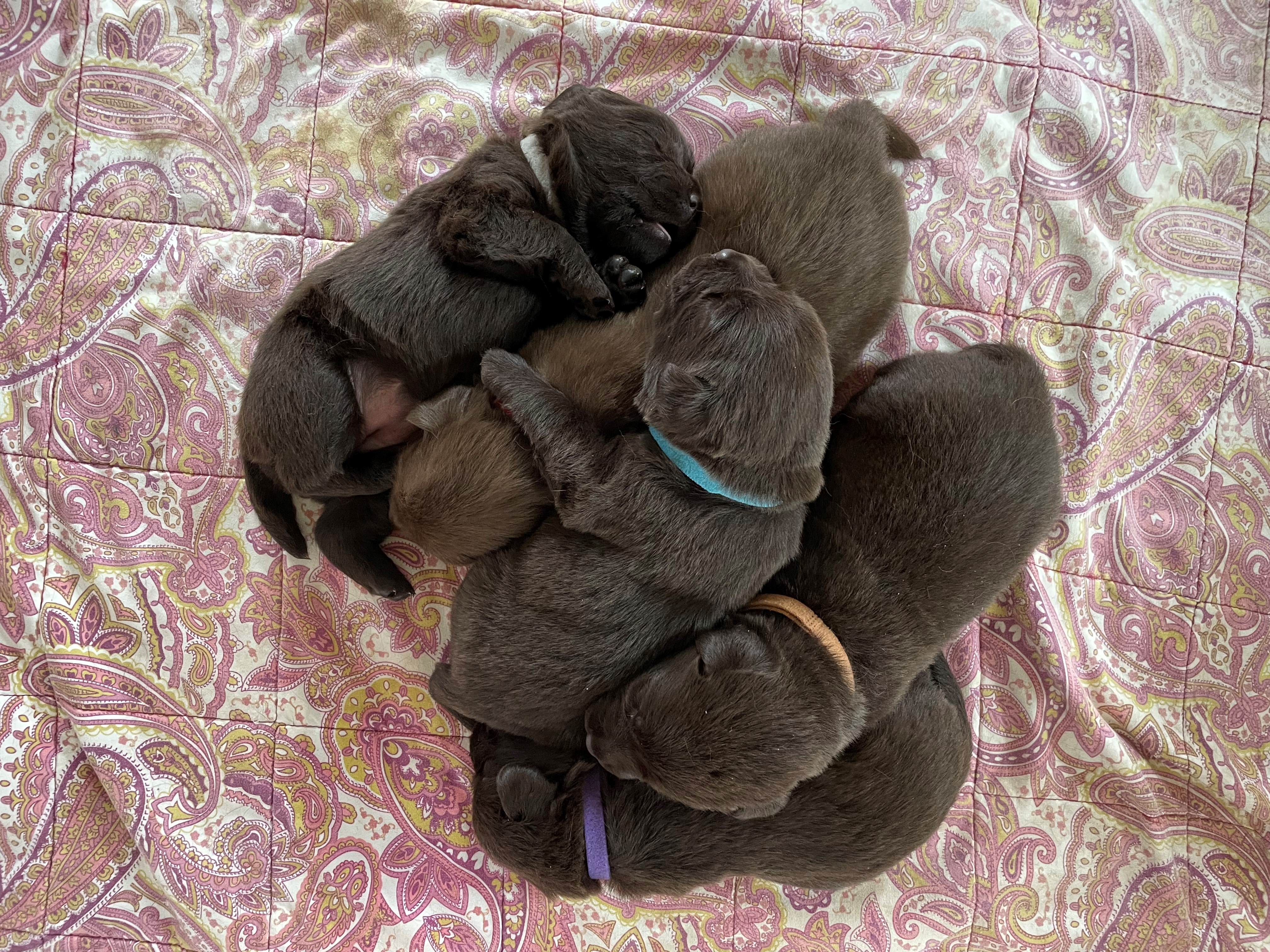 image_67506945-resize