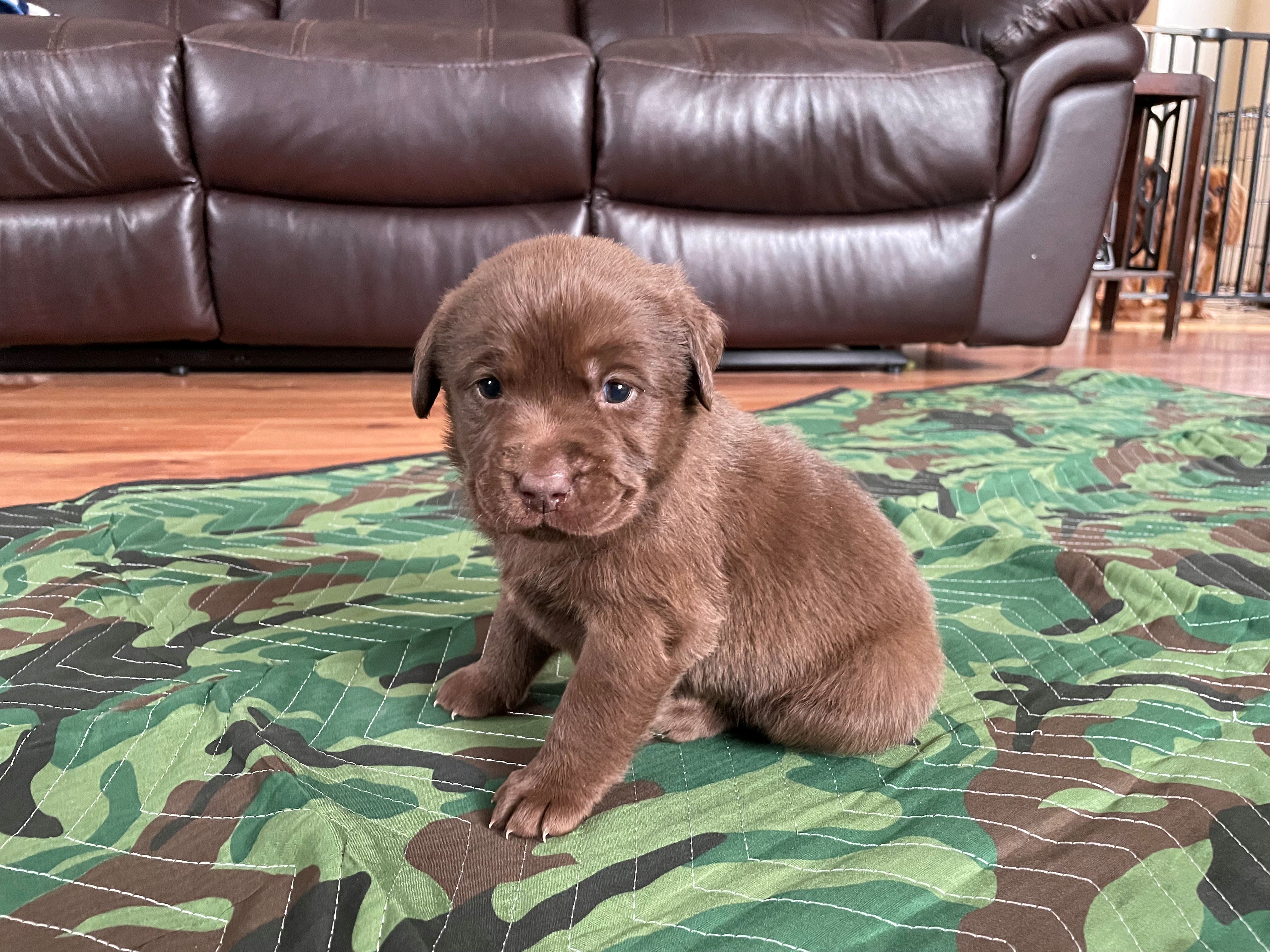 IMG_8735-Purple -Resized