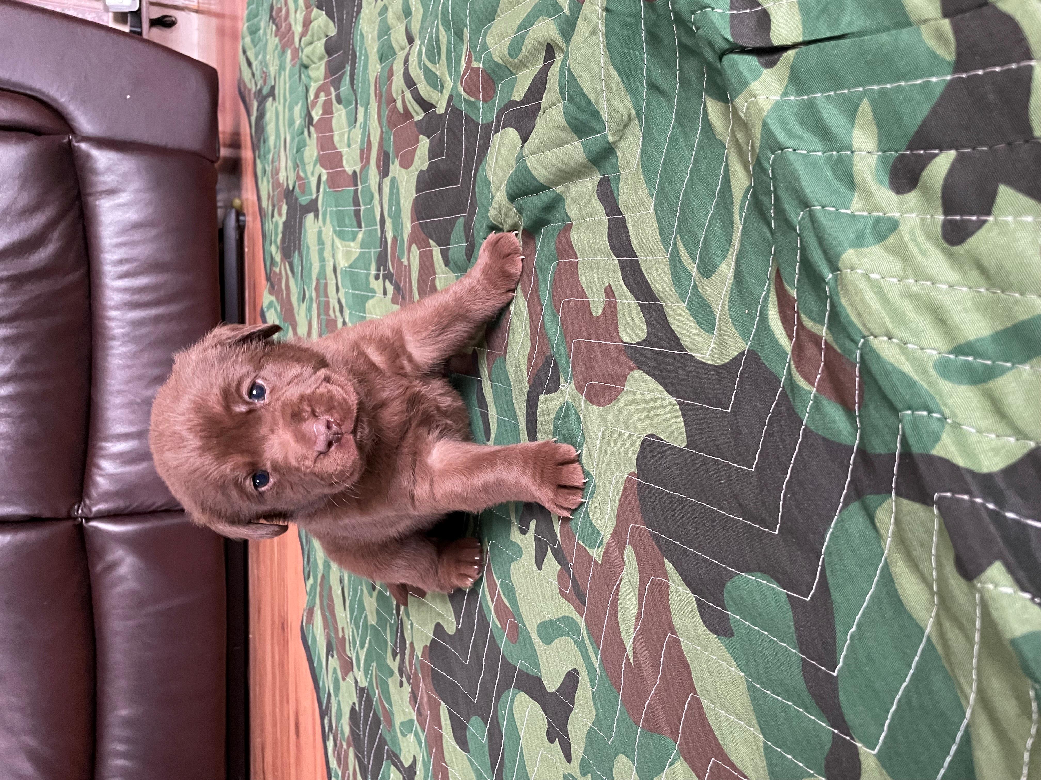 IMG_8737 - Purple-Resized