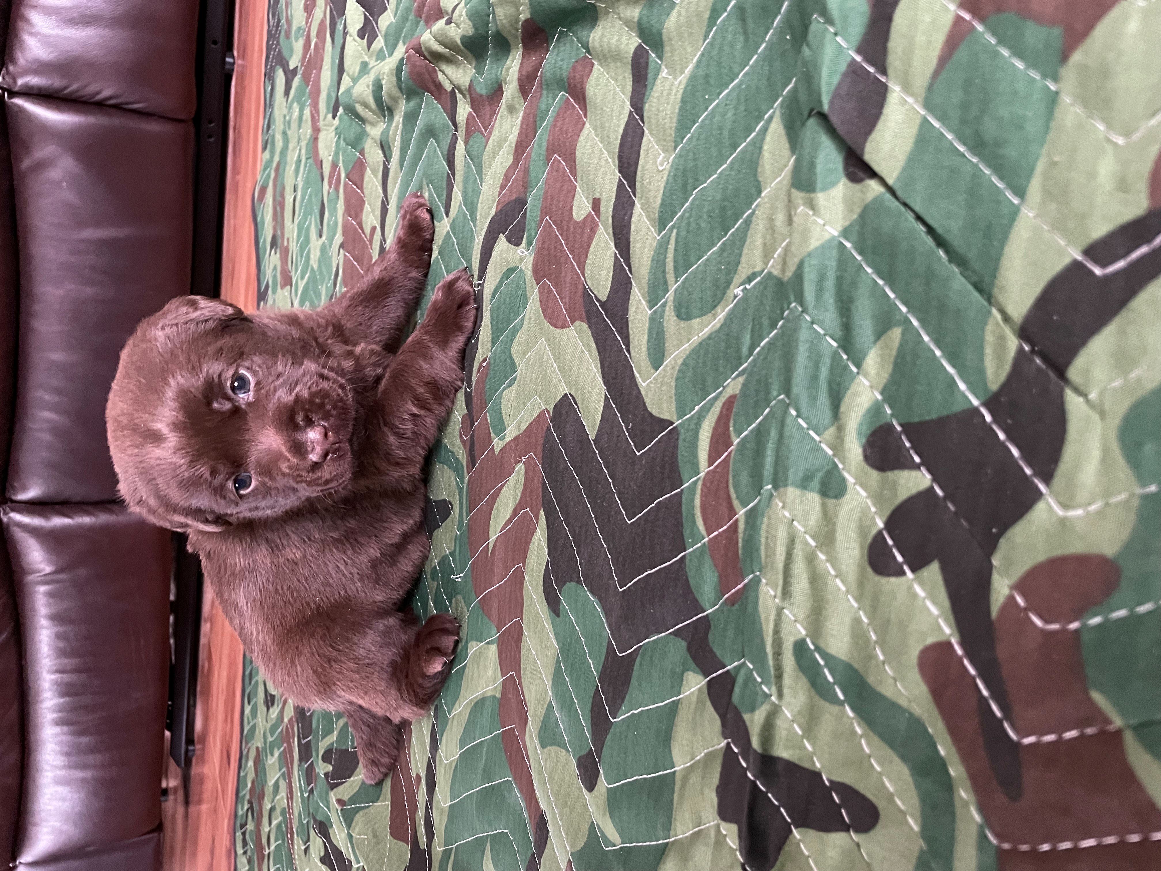 IMG_8745-Red-Resized